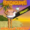 BRDigung - Donald Trump (feat. Frenzy) - Single